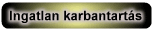 ingatlan karbantart�s